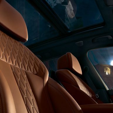Skinnseter BMW X5 Interiør Skinnseter BMW X5 G05 2018 Interiør